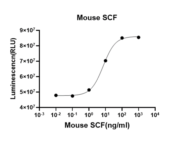 Recombinant Mouse SCF (His, Flag) Recombinant Mouse SCF (His, Flag)