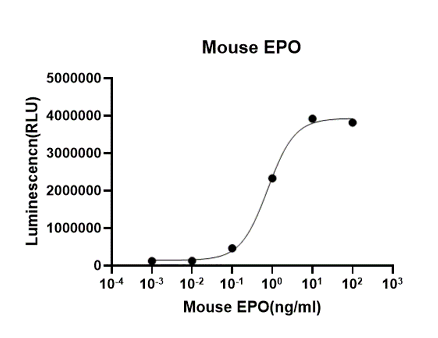 Recombinant Mouse Erythropoietin/EPO (His, Flag)