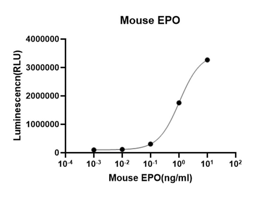 Recombinant Mouse Erythropoietin/EPO, Tag Free