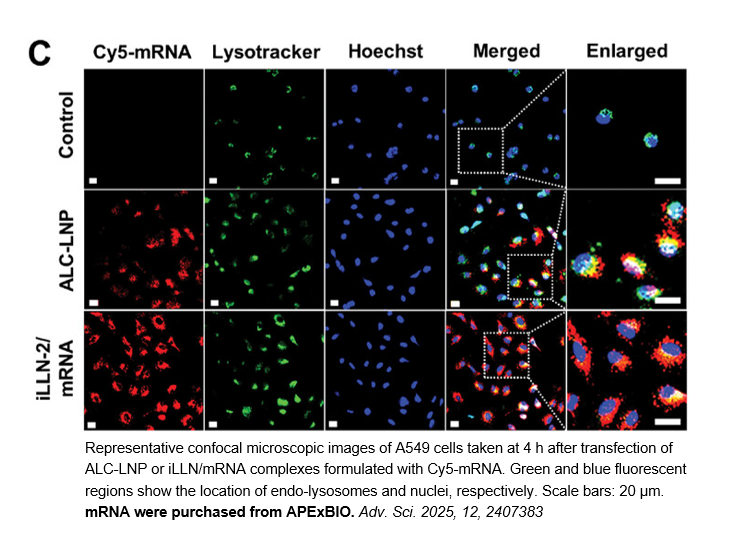 EZ Cap™ Cy5 Firefly Luciferase mRNA (5-moUTP)