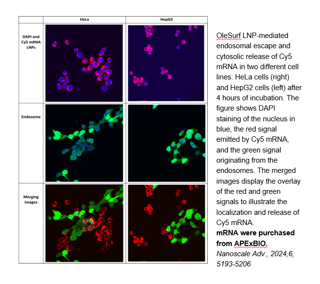 EZ Cap™ Cy5 Firefly Luciferase mRNA (5-moUTP)