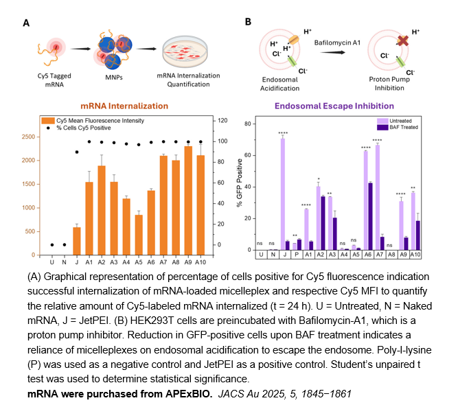 EZ Cap™ Cy5 EGFP mRNA (5-moUTP)