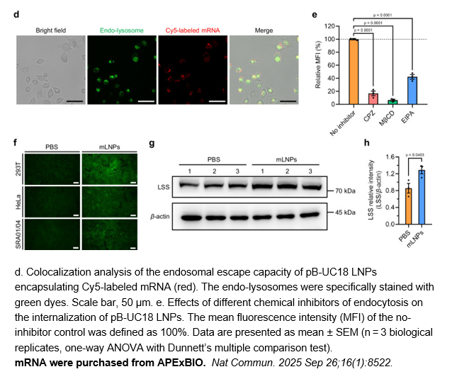 EZ Cap™ Cy5 EGFP mRNA (5-moUTP)
