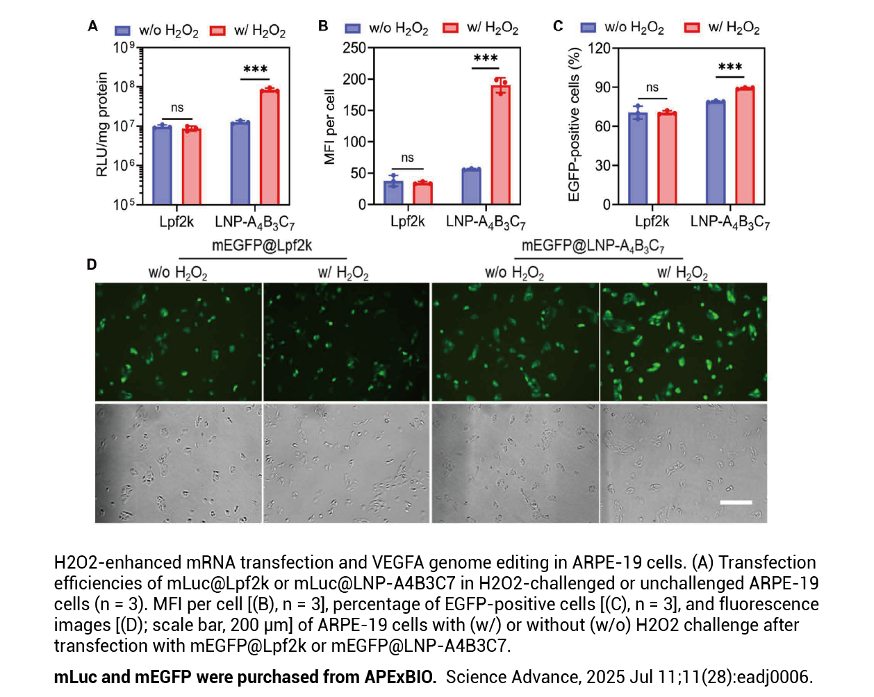 EZ Cap™ EGFP mRNA (5-moUTP)