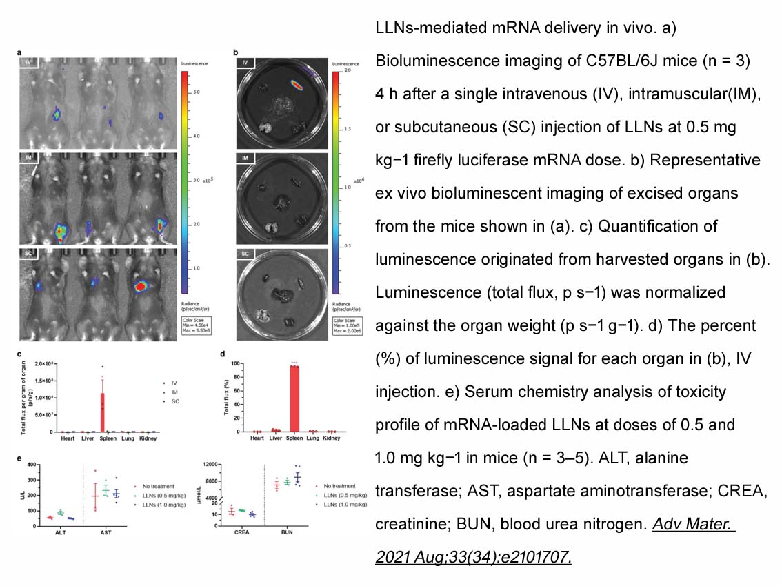 EZ Cap™ Firefly Luciferase mRNA