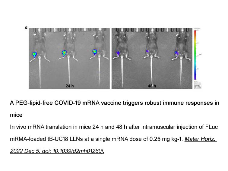 EZ Cap™ Firefly Luciferase mRNA