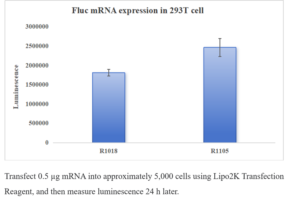 Enhanced EZ Cap™ Firefly Luciferase mRNA
