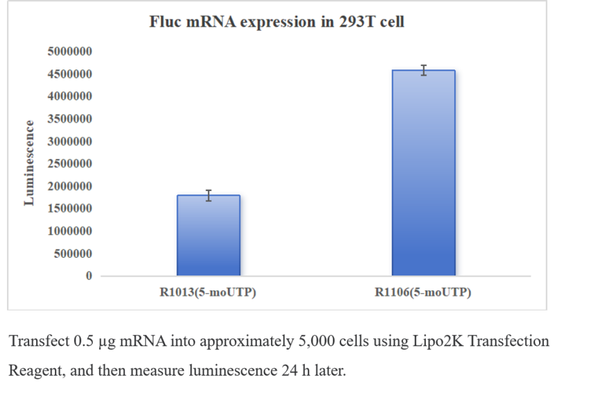 Enhanced EZ Cap™ Firefly Luciferase mRNA (5-moUTP)