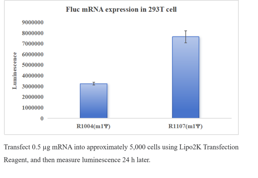 Enhanced EZ Cap™ Firefly Luciferase mRNA (m1Ψ)