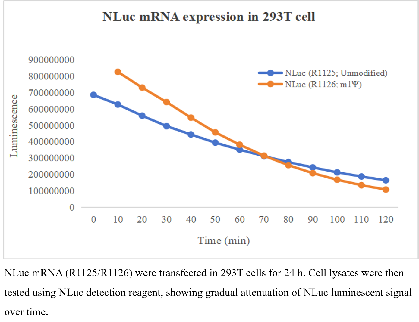 EZ Cap™ Nano Luciferase mRNA EZ Cap™ Nano Luciferase mRNA