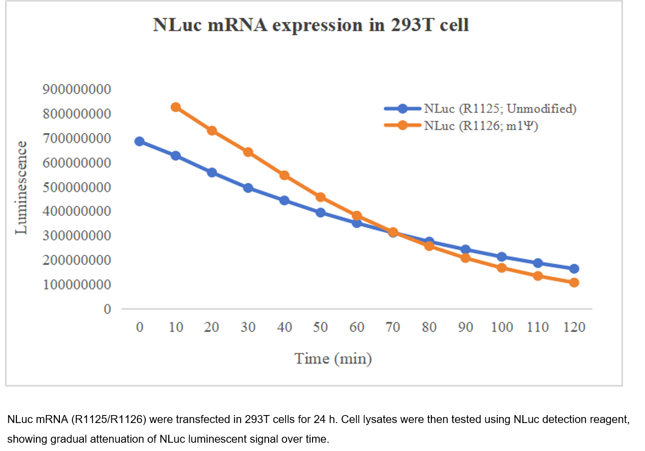 EZ Cap™ Nano Luciferase mRNA EZ Cap™ Nano Luciferase mRNA