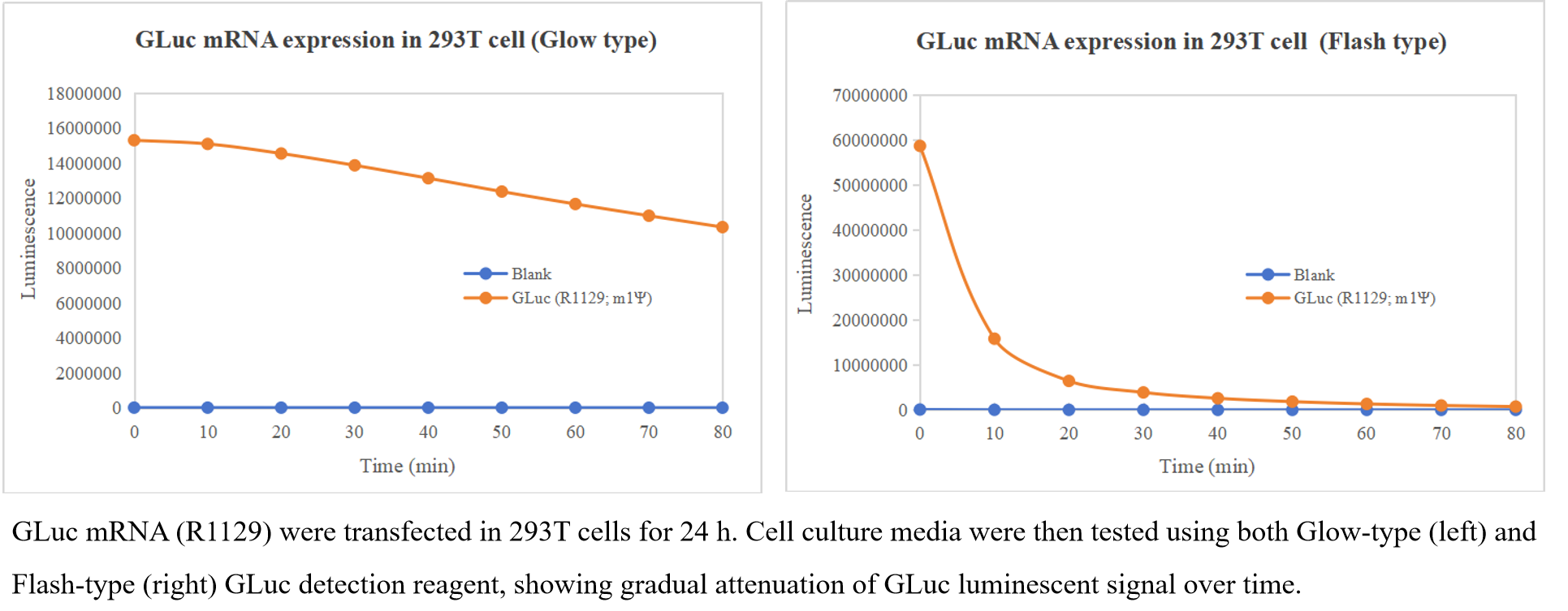EZ Cap™ Gaussia Luciferase mRNA (m1Ψ)