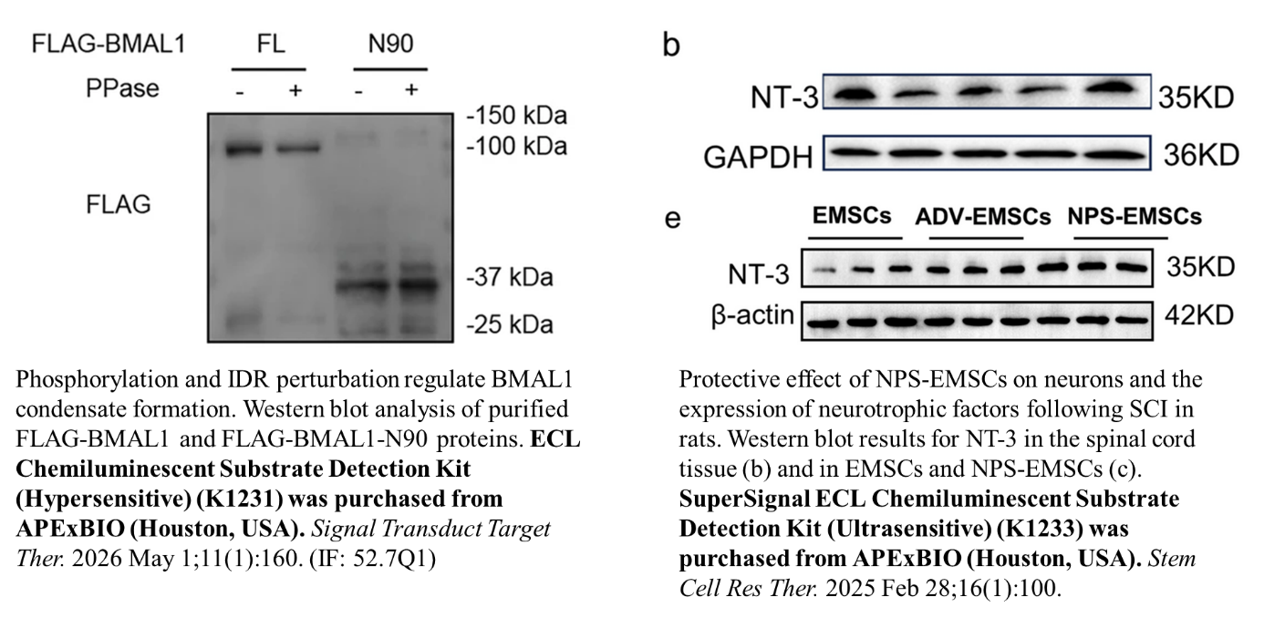 ECL chemiluminescent substrate validation