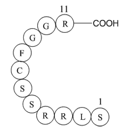 ANP (1-11), rat