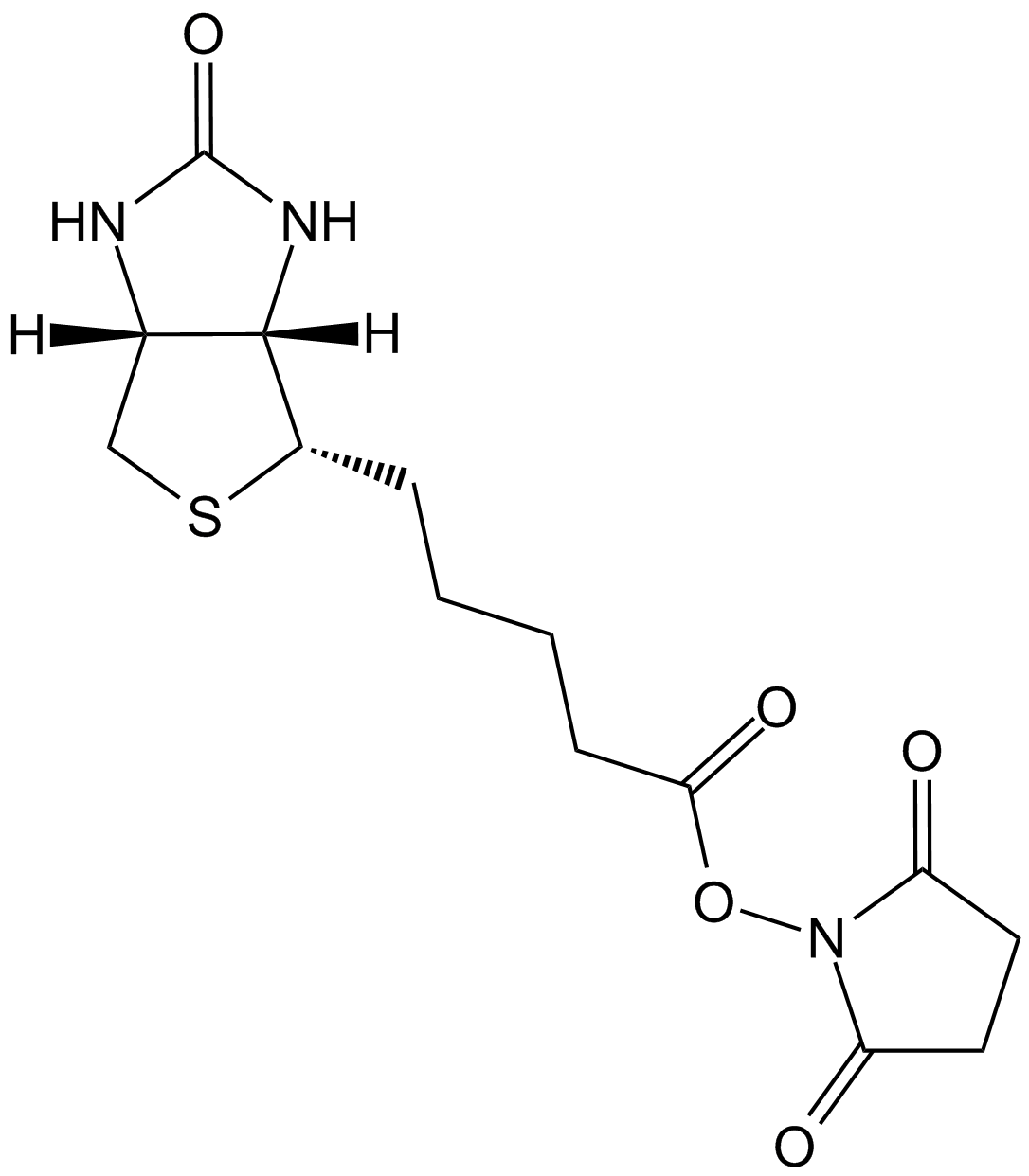 NHS-Biotin
