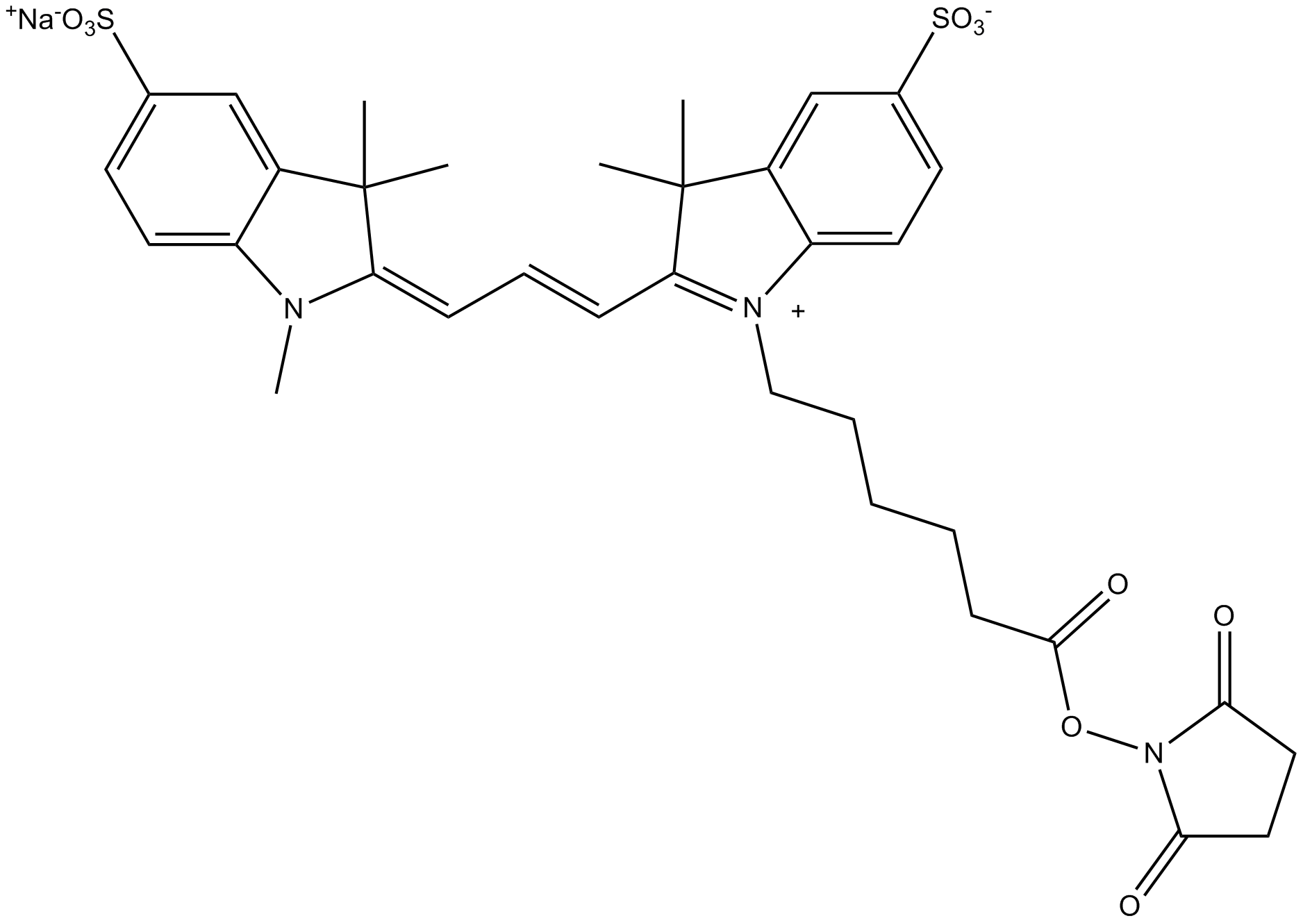Cy3 NHS ester