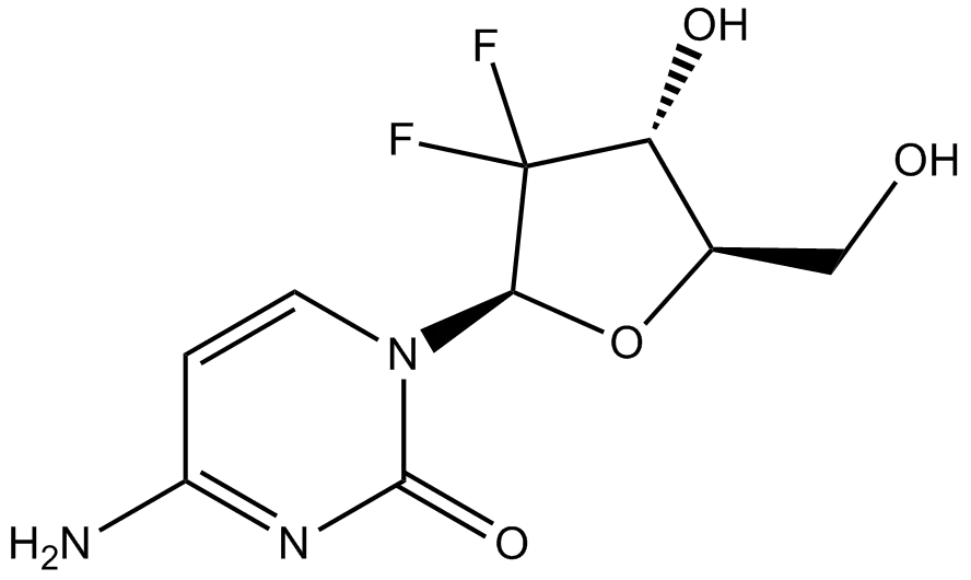 Gemcitabine - DNA Synthesis Inhibitor | APExBIO