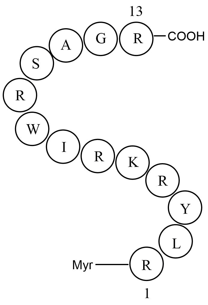 ZIP (SCRAMBLED)