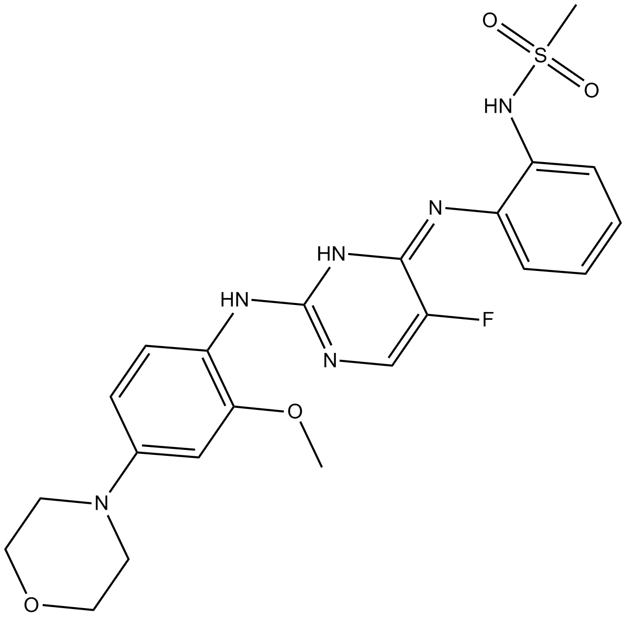CZC-25146