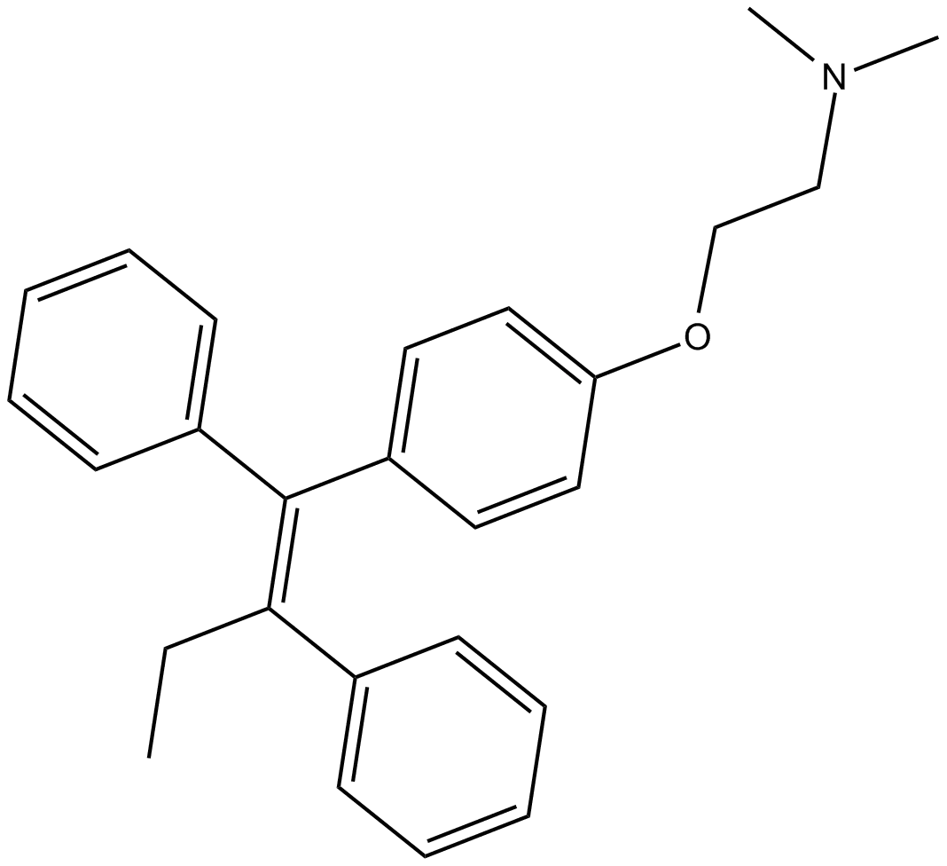 b5965.webp