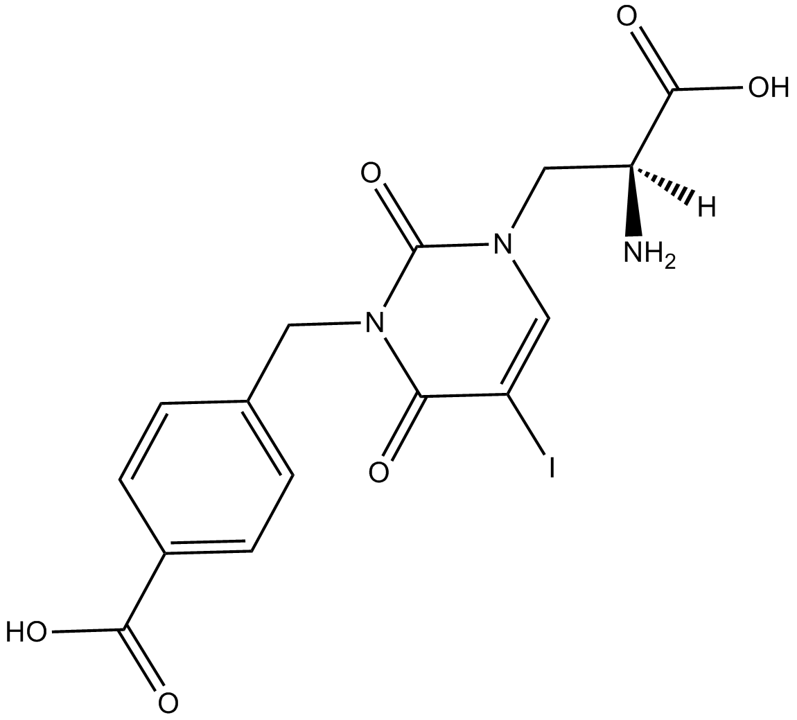 UBP 301