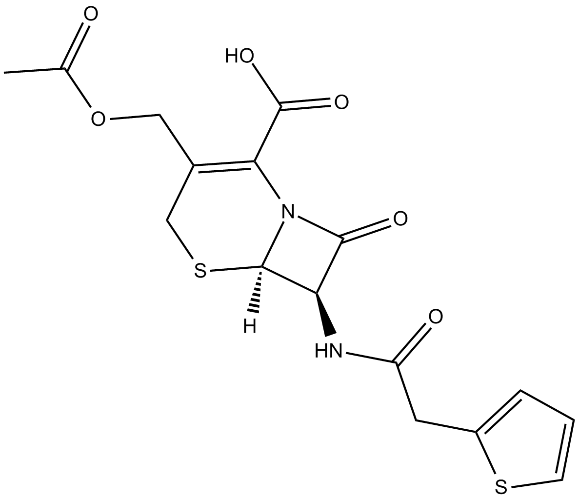 Cephalothin