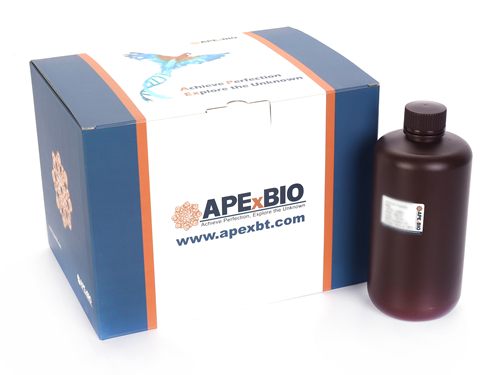 InstaBlue Protein Stain Solution