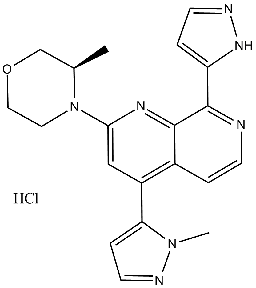 BAY1895344 HCl