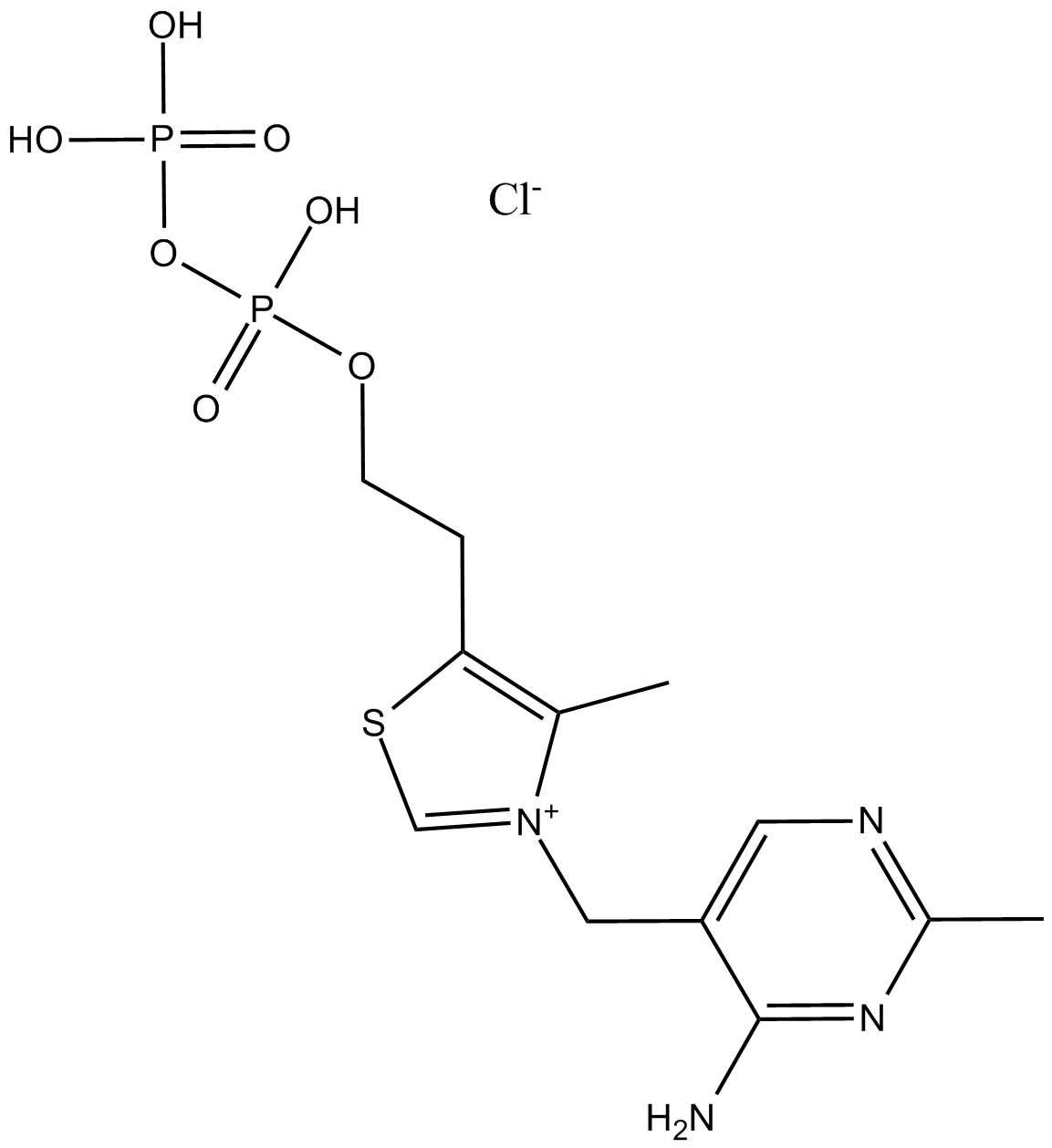 Thiamine pyrophosphate