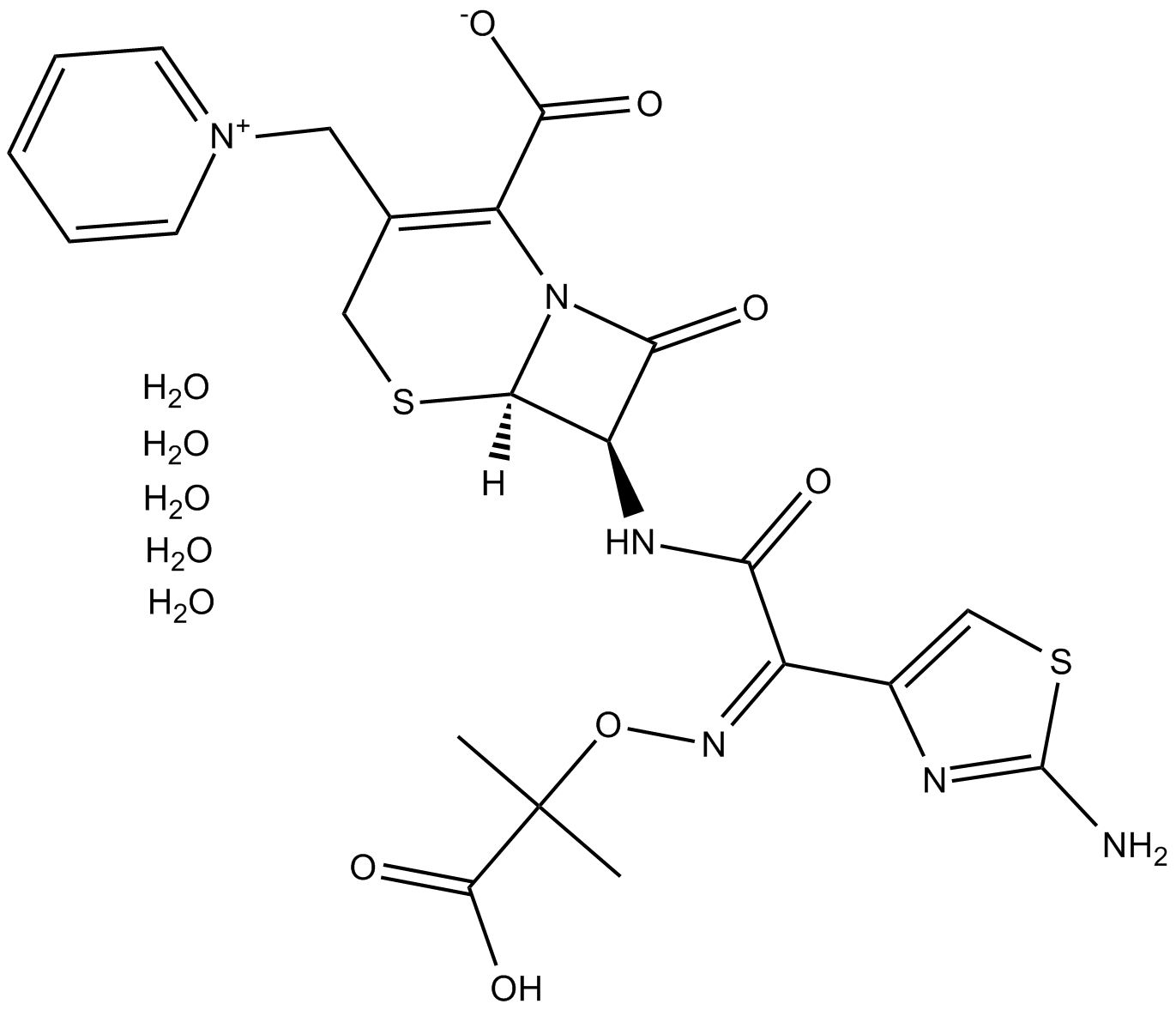 Ceftazidime pentahydrate