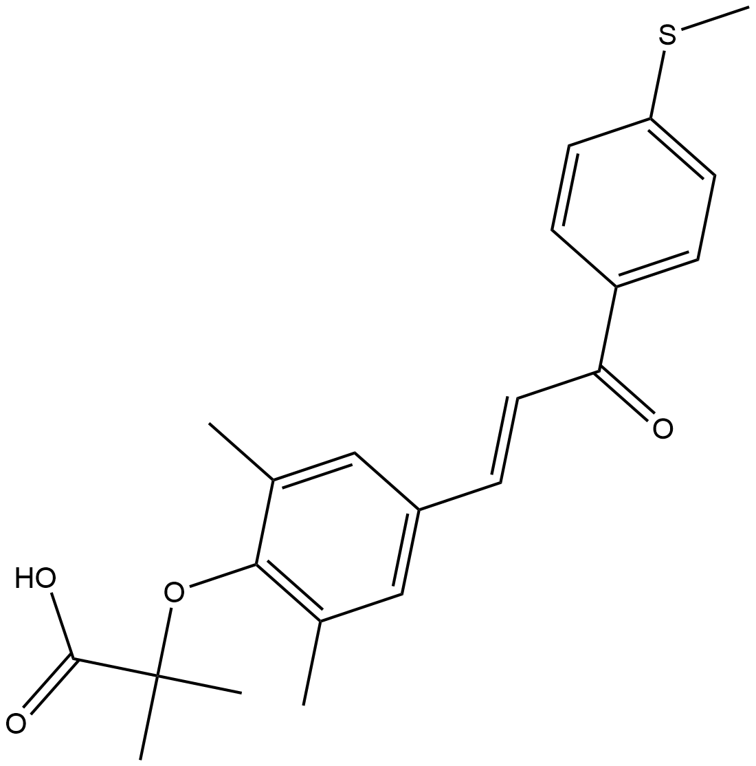 Elafibranor