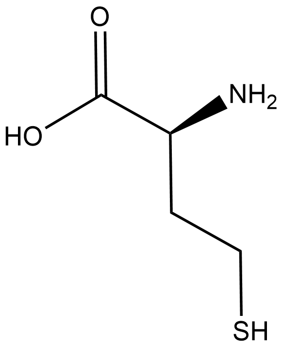 L-Homocysteine