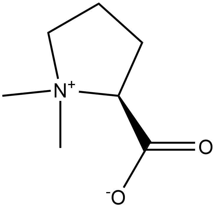 Stachydrine