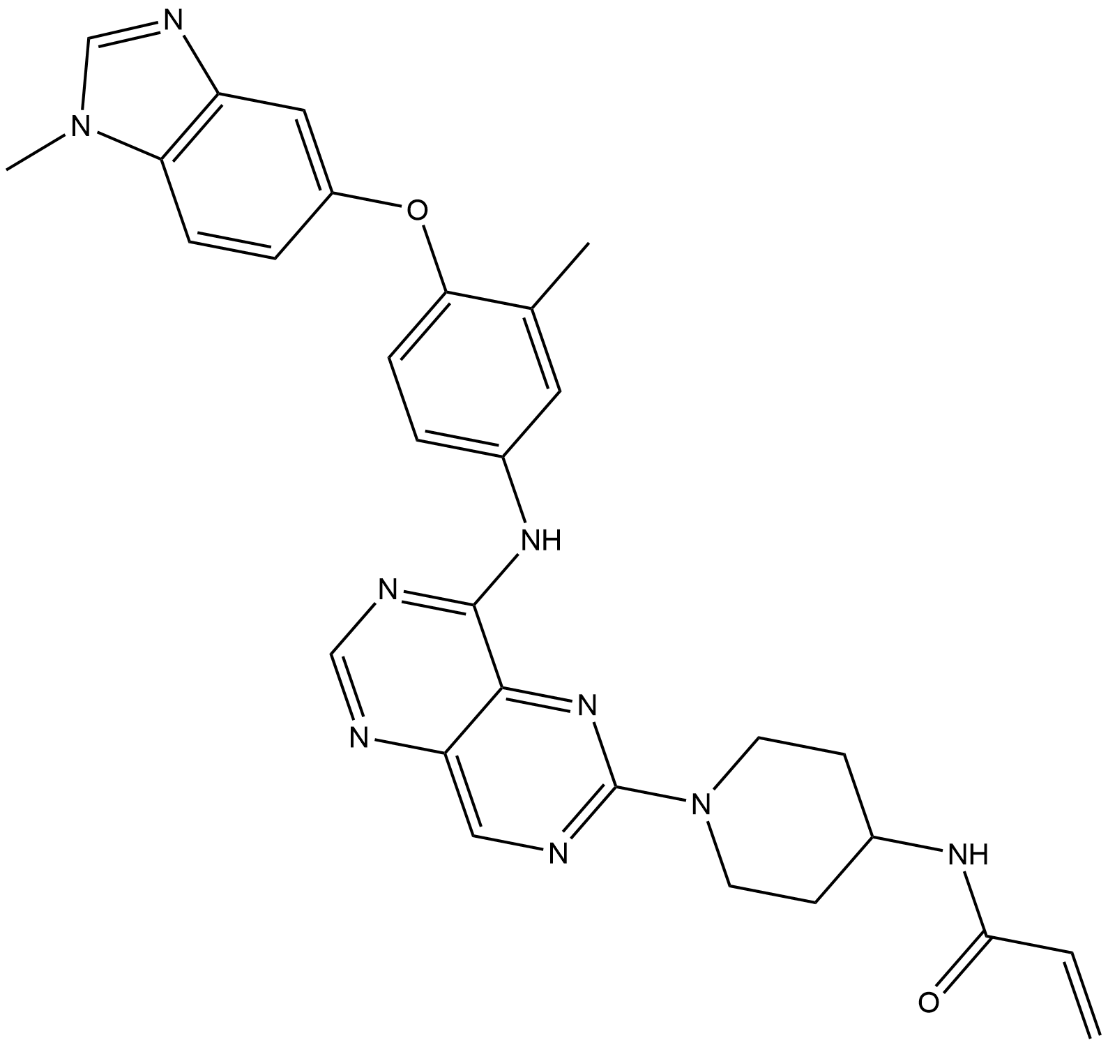 Zongertinib