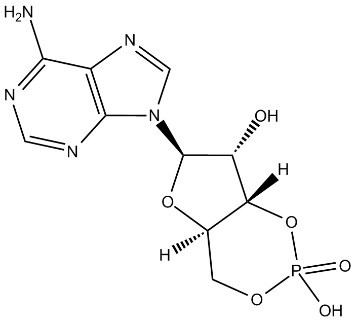 Cyclic AMP
