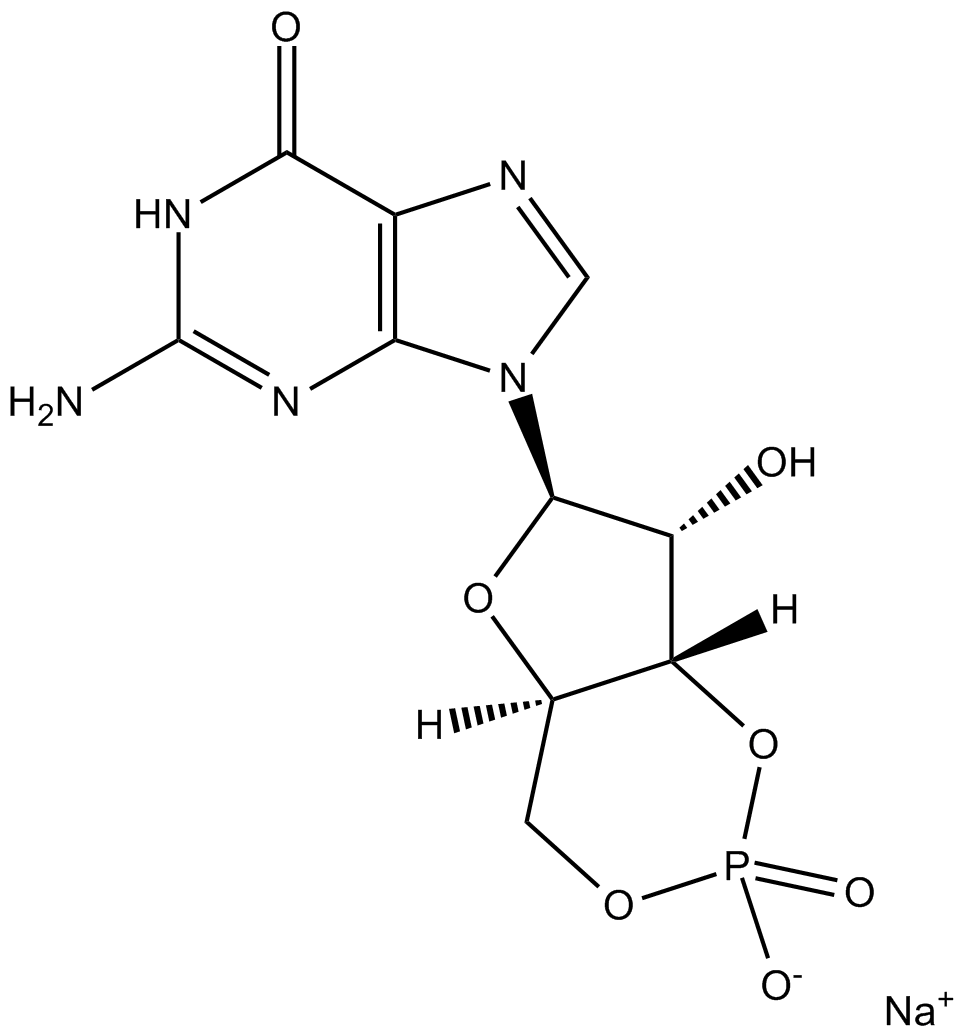 Cyclic GMP (sodium salt)