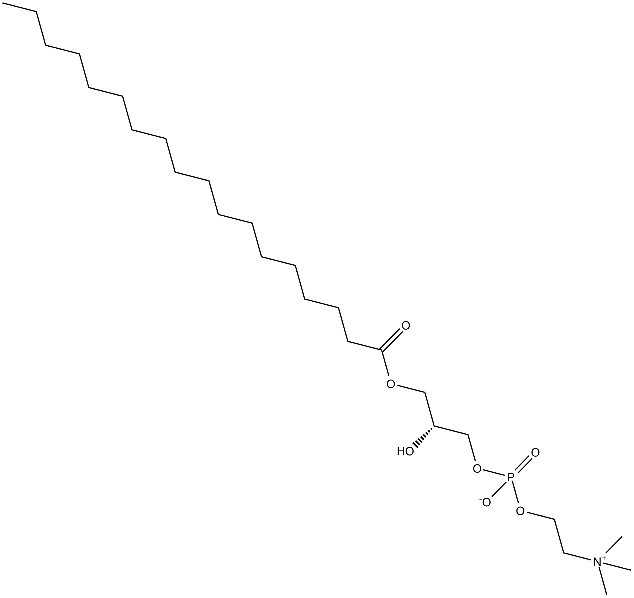 1-Stearoyl-2-lyso-sn-glycero-3-PC