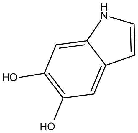 5,6-dihydroxy Indole