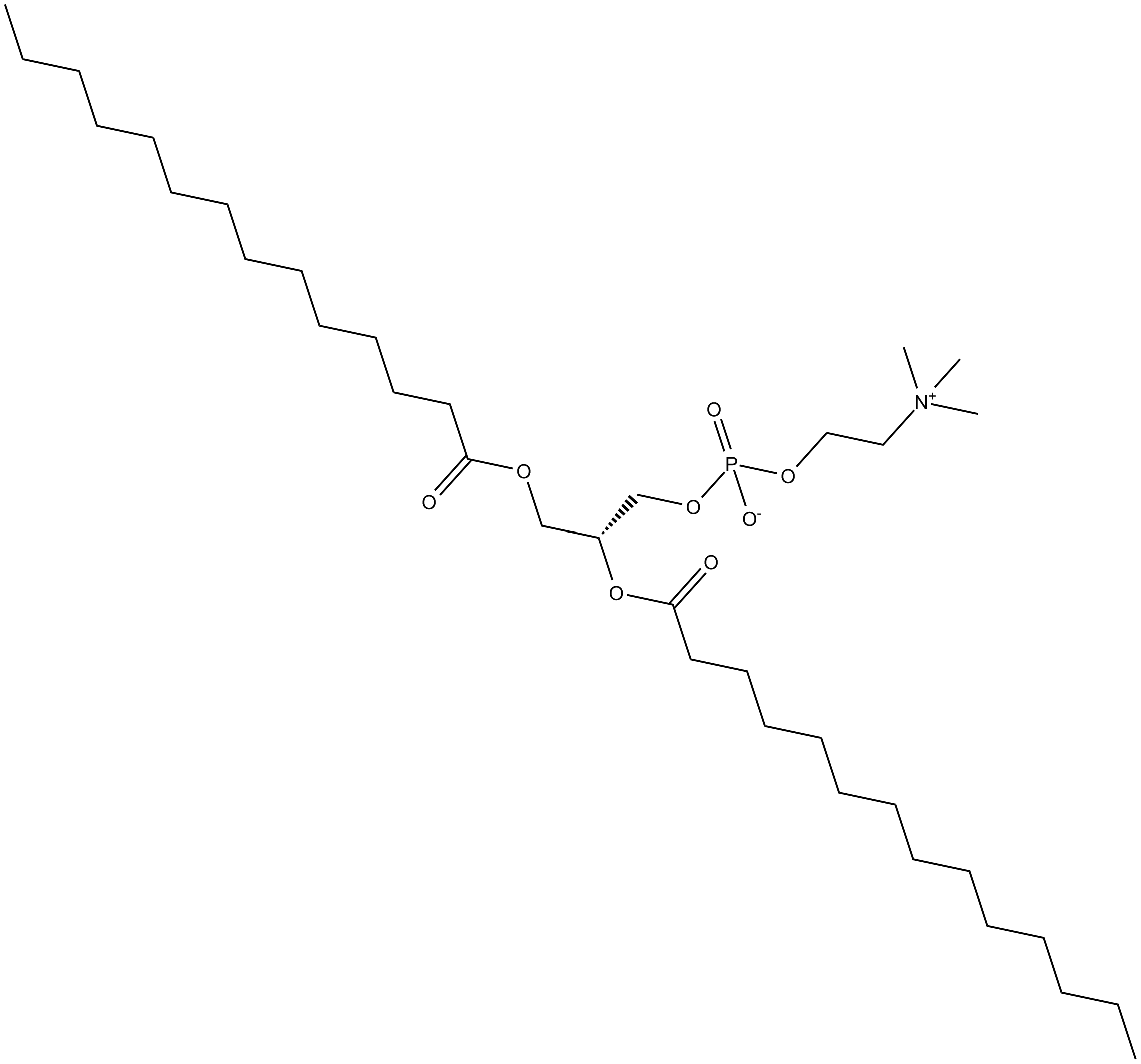 1,2-Dimyristoyl-sn-glycero-3-PC