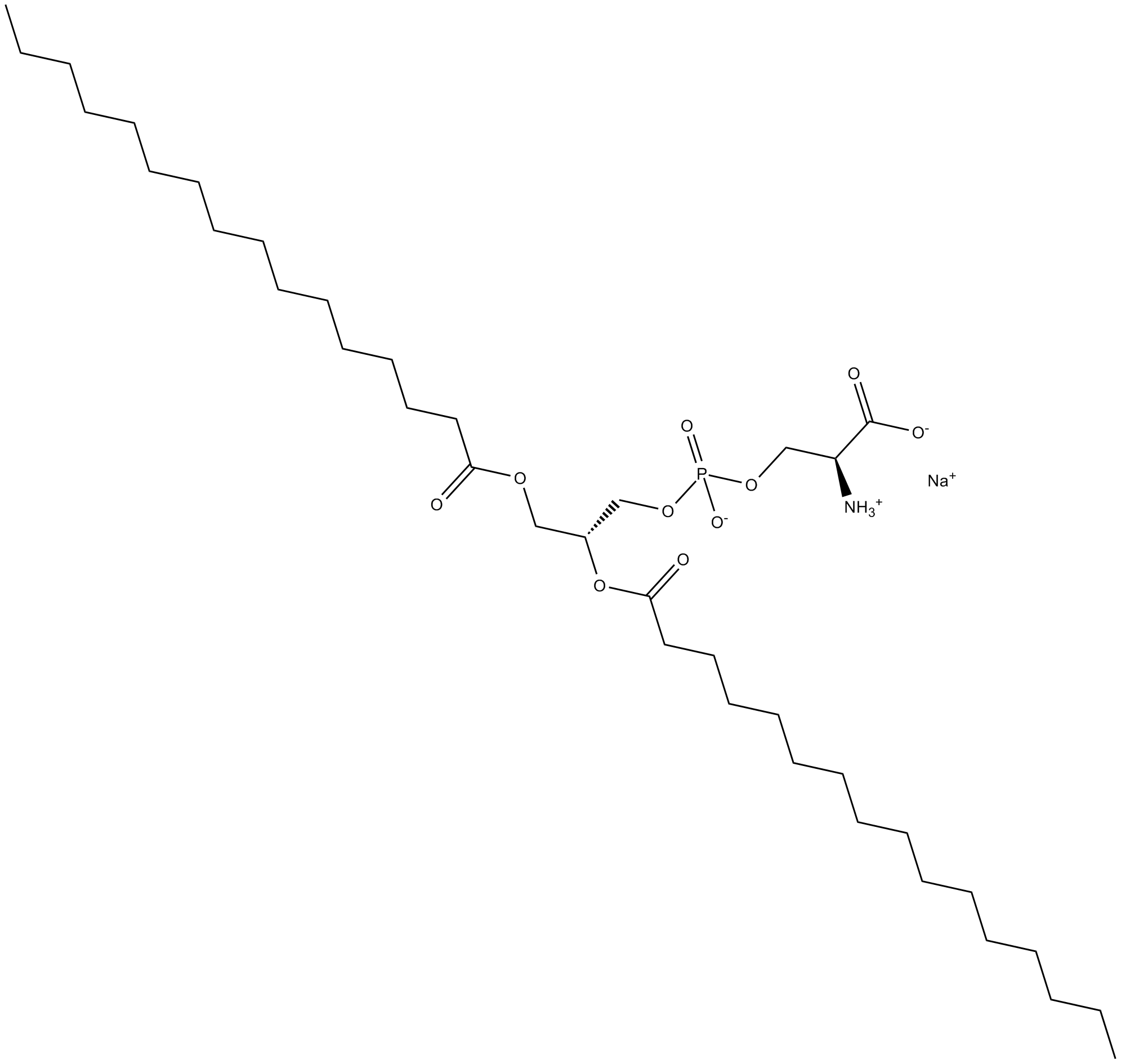 1,2-Dipalmitoyl-sn-glycero-3-PS (sodium salt)