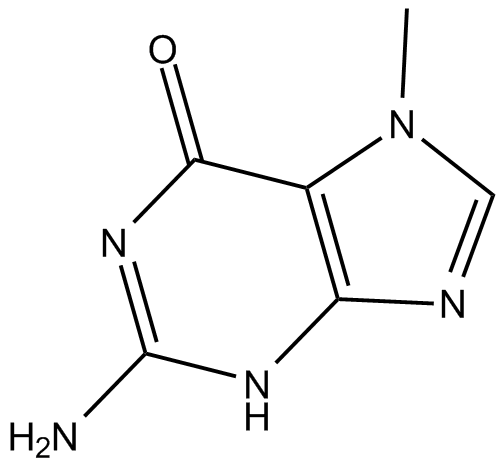 7-Methylguanine