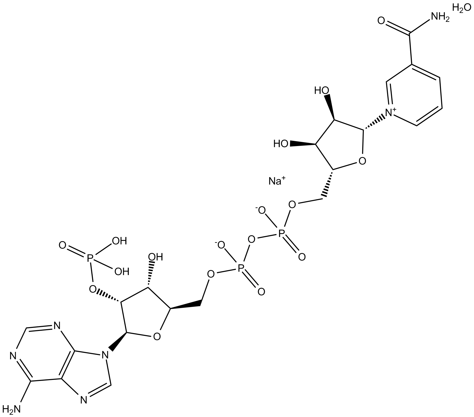 NADP+ (sodium salt hydrate)