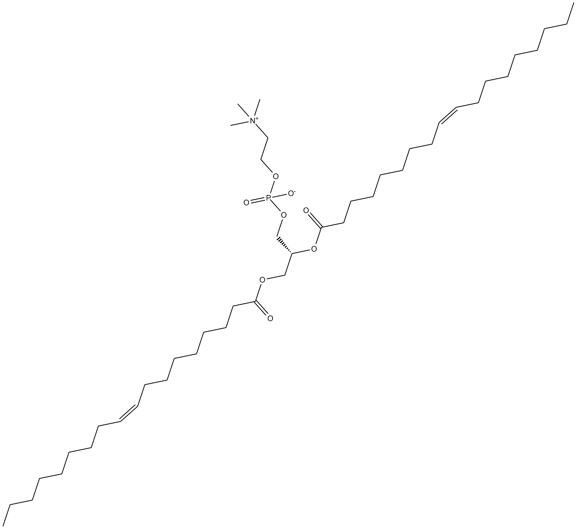 1,2-Dioleoyl-sn-glycero-3-PC