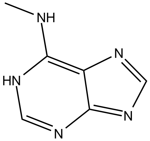 N6-Methyladenine