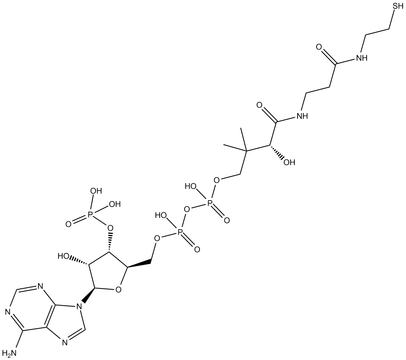 Coenzyme A
