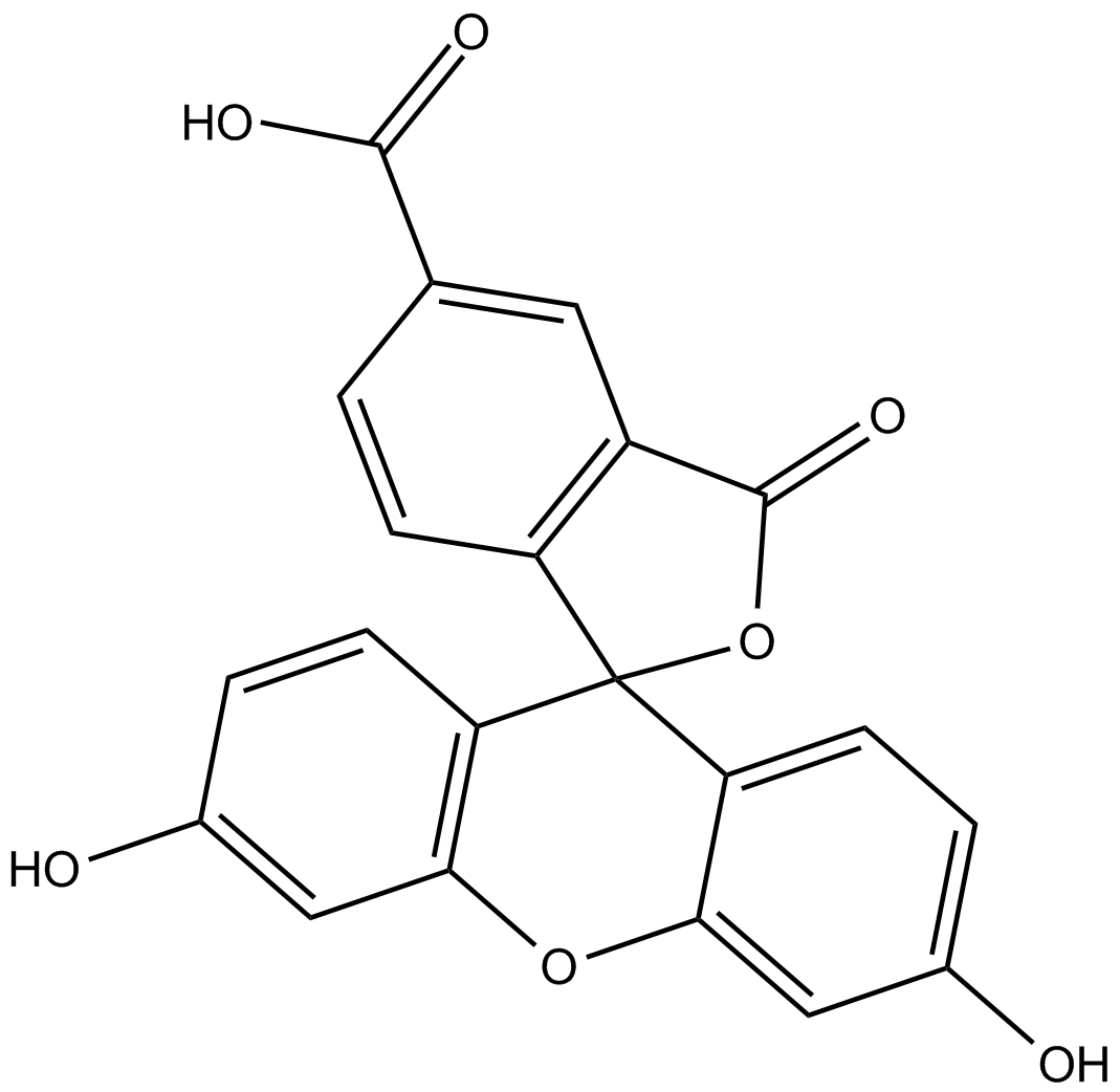 5-Carboxyfluorescein