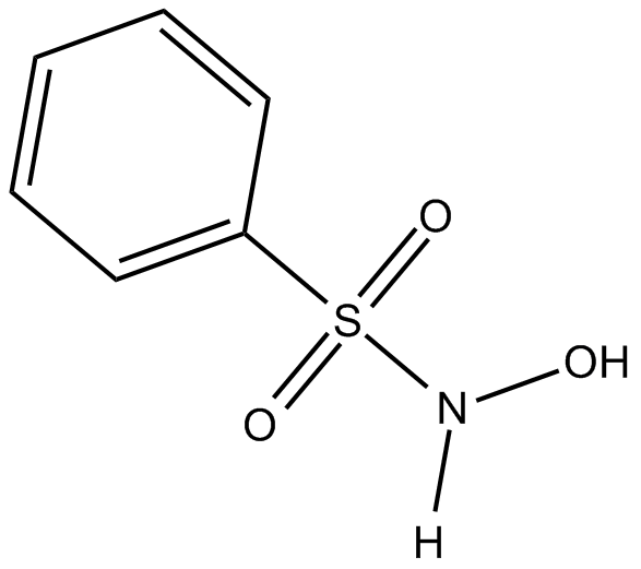 Piloty’s Acid