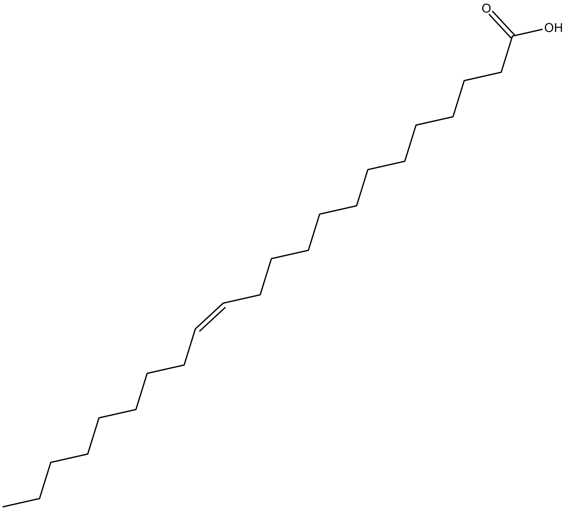 13(Z)-Docosenoic Acid