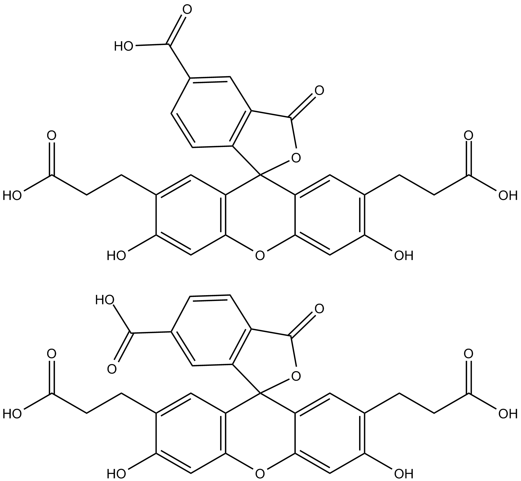 BCECF