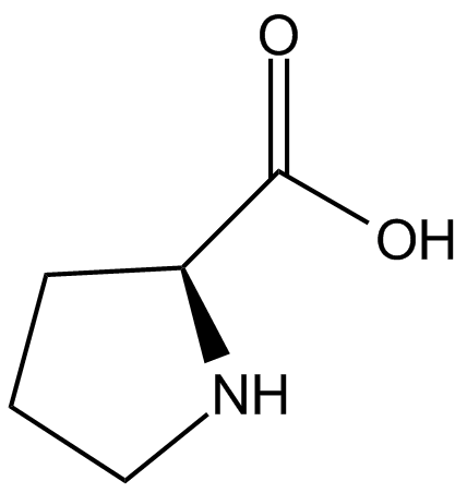 L-Proline
